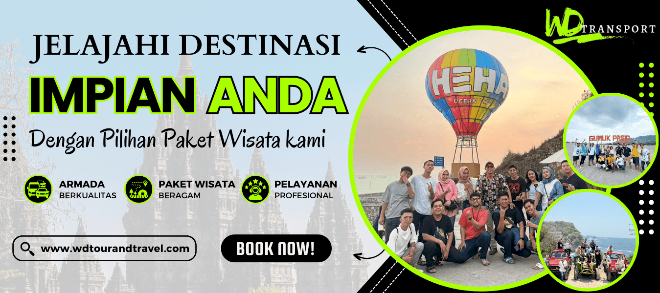 WD Tour and Travel